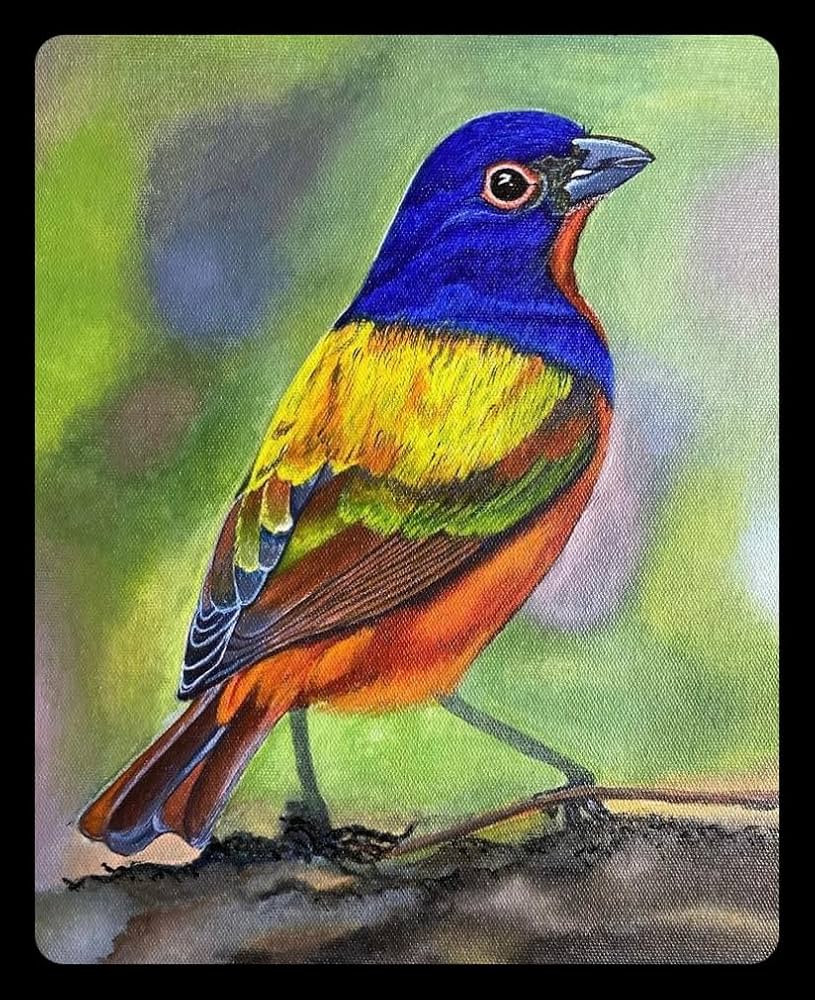 bird painting