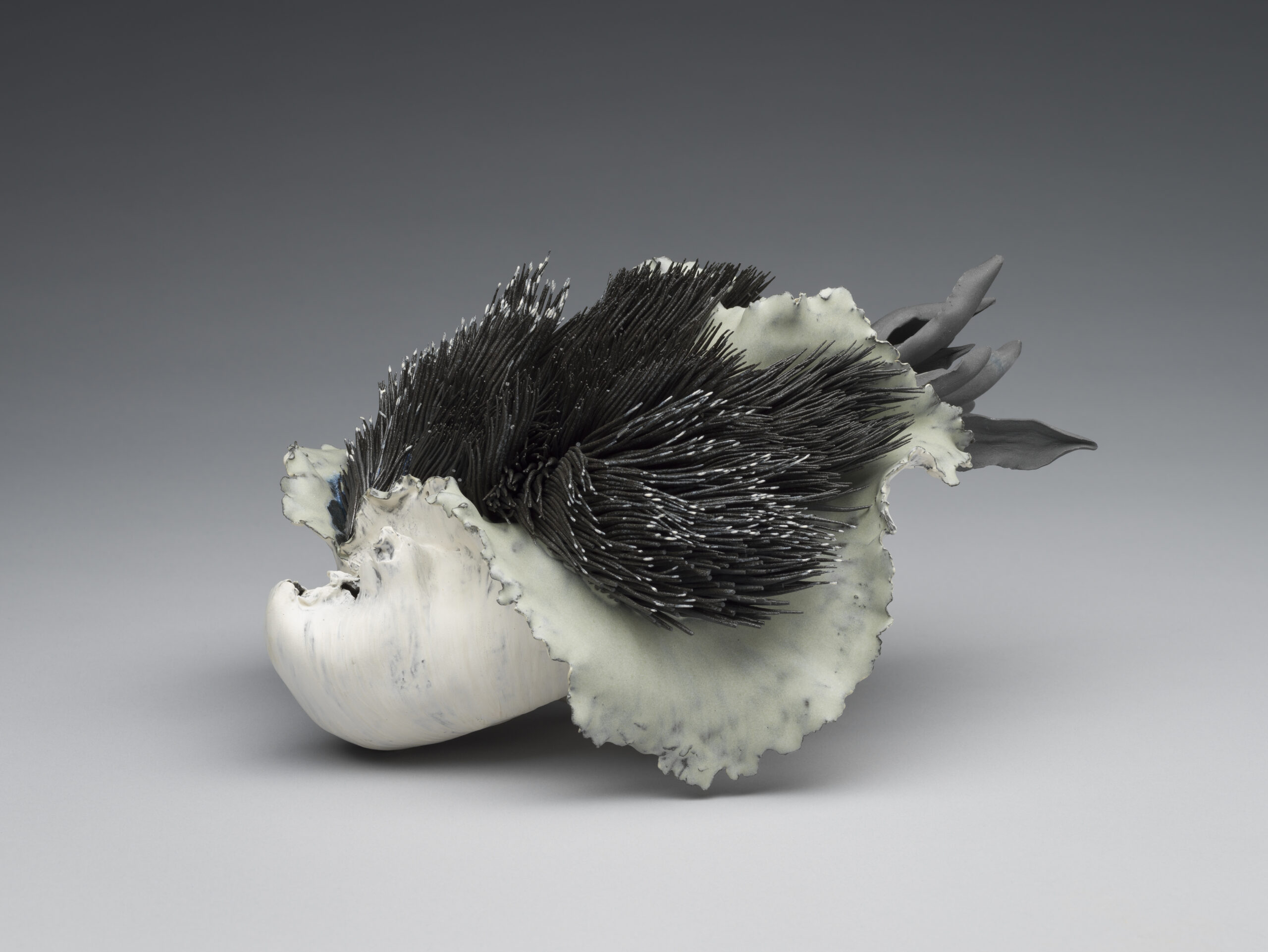 Exploring the Boundaries of Contemporary Ceramic Art: A Modern Perspective