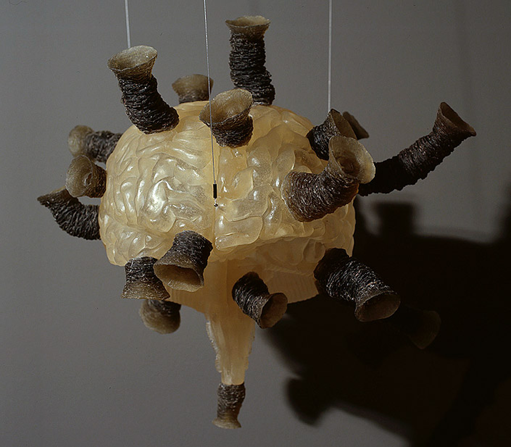 The Transformative World of Fiona Hall Artworks