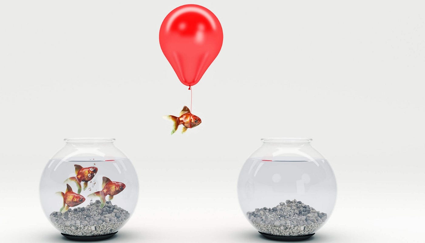 innovation is the source of life for visual art