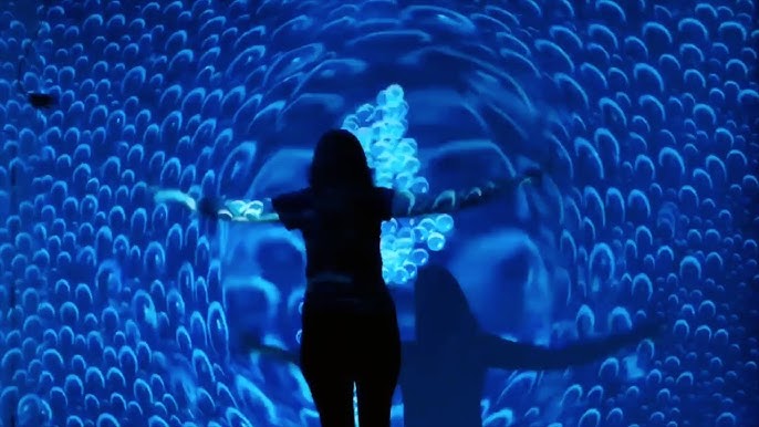 Immersive Experiences: Exploring Interactive Art Installations