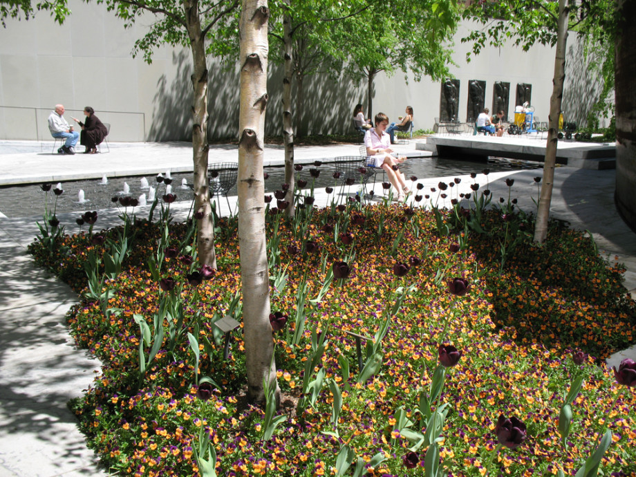 Exploring the Tranquility of MOMA’s Sculpture Garden